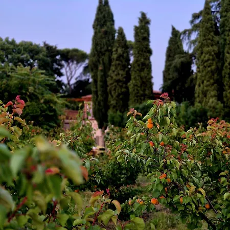 Calicanto - Dimora Nel Parco