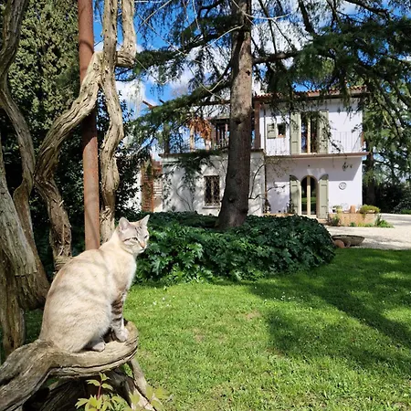 Δωμάτια σε οικογενειακή κατοικία Calicanto - Dimora Nel Parco Faenza