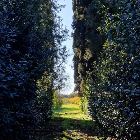 Calicanto - Dimora Nel Parco Δωμάτια σε οικογενειακή κατοικία