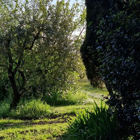 Δωμάτια σε οικογενειακή κατοικία Calicanto - Dimora Nel Parco