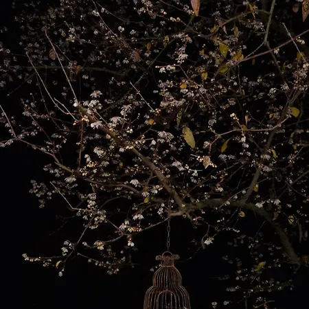 Δωμάτια σε οικογενειακή κατοικία Calicanto - Dimora Nel Parco