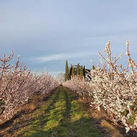 Calicanto - Dimora Nel Parco Faenza