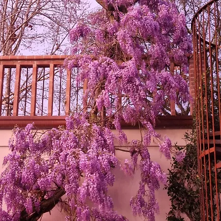 Calicanto - Dimora Nel Parco Δωμάτια σε οικογενειακή κατοικία Faenza