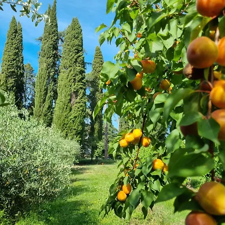 Calicanto - Dimora Nel Parco Faenza