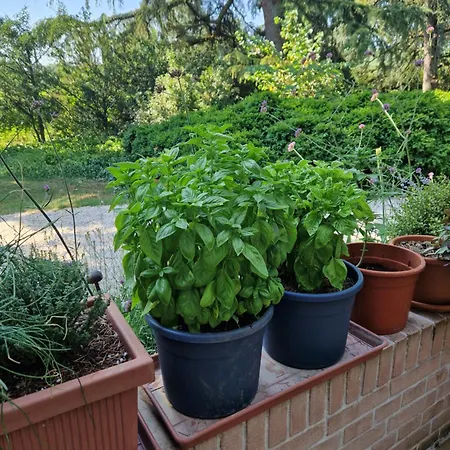 Calicanto - Dimora Nel Parco Δωμάτια σε οικογενειακή κατοικία Faenza