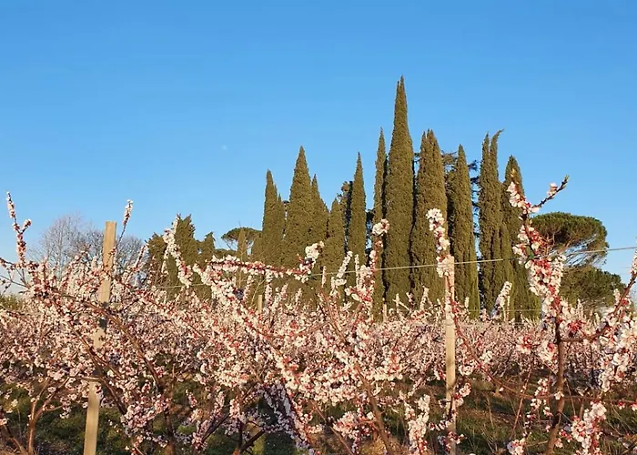 Pansiyon Calicanto - Dimora Nel Parco *
