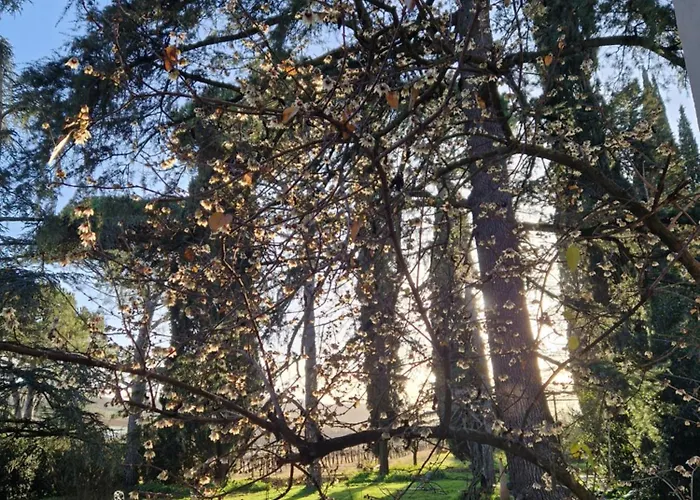 Pansiyon Calicanto - Dimora Nel Parco Faenza
