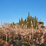 Ubytování v soukromí Calicanto - Dimora Nel Parco *