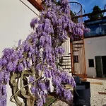 Calicanto - Dimora Nel Parco * Faenza