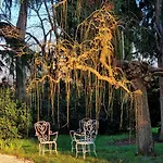 Δωμάτια σε οικογενειακή κατοικία Calicanto - Dimora Nel Parco Faenza