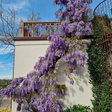 Ubytování v soukromí Calicanto - Dimora Nel Parco