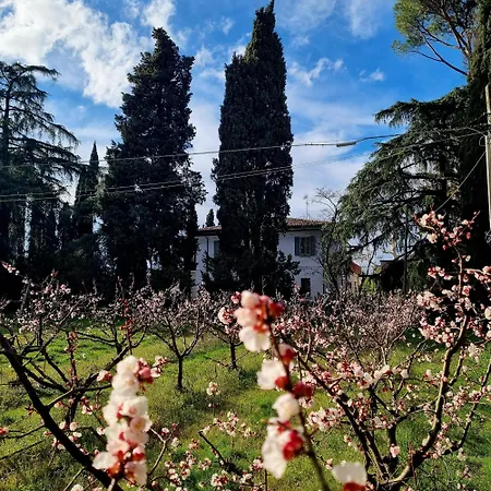 Calicanto - Dimora Nel Parco Ubytování v soukromí Faenza