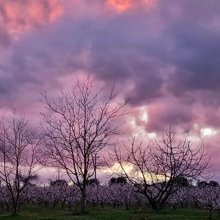 Calicanto - Dimora Nel Parco Ubytování v soukromí Faenza