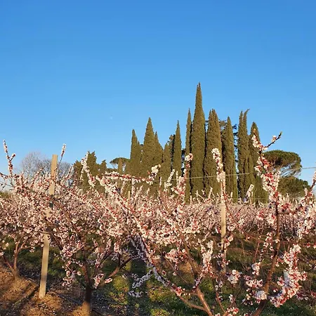 Ubytování v soukromí Calicanto - Dimora Nel Parco *