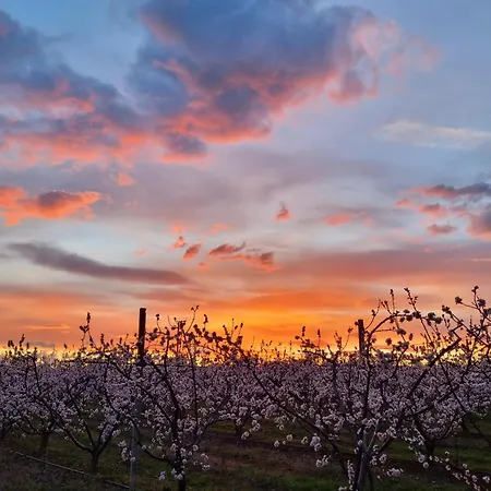 Ubytování v soukromí Calicanto - Dimora Nel Parco Faenza