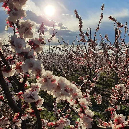 Calicanto - Dimora Nel Parco * Faenza