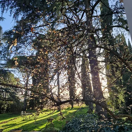 Ubytování v soukromí Calicanto - Dimora Nel Parco Faenza