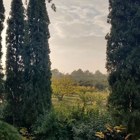 Calicanto - Dimora Nel Parco Ubytování v soukromí