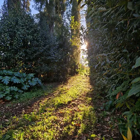 Calicanto - Dimora Nel Parco Faenza