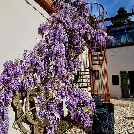 Calicanto - Dimora Nel Parco 3* Faenza