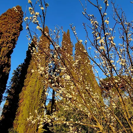 Ubytování v soukromí Calicanto - Dimora Nel Parco *