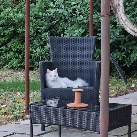 Calicanto - Dimora Nel Parco Faenza