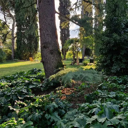 Calicanto - Dimora Nel Parco Ubytování v soukromí Faenza