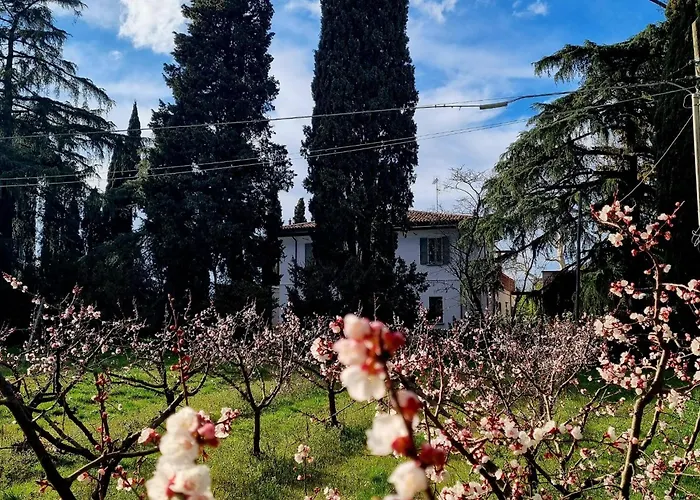 Calicanto - Dimora Nel Parco Habitación en casa particular Faenza