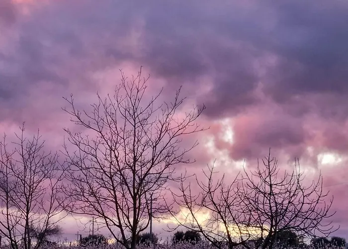 Calicanto - Dimora Nel Parco Habitación en casa particular Faenza