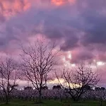 Calicanto - Dimora Nel Parco Kwatera prywatna Faenza