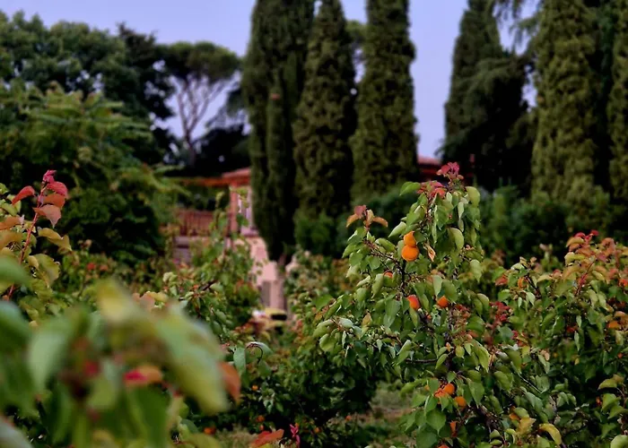 Calicanto - Dimora Nel Parco