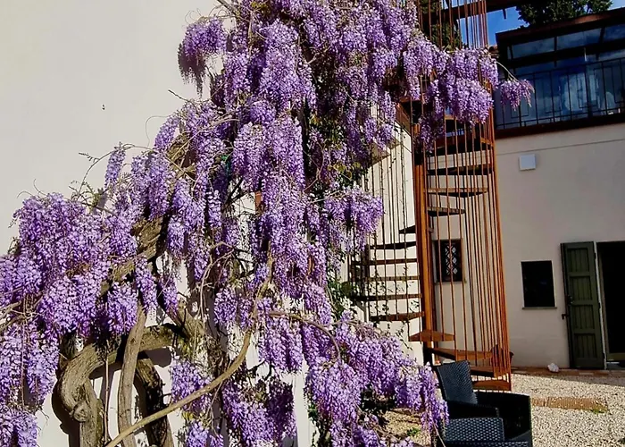 Calicanto - Dimora Nel Parco * 法恩莎