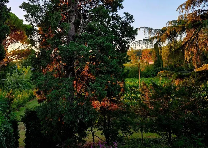 Calicanto - Dimora Nel Parco 民宿 *