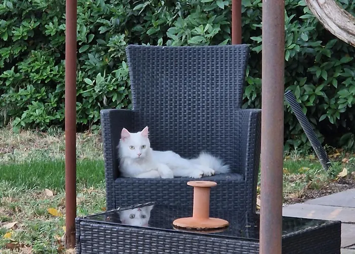 Calicanto - Dimora Nel Parco 法恩莎